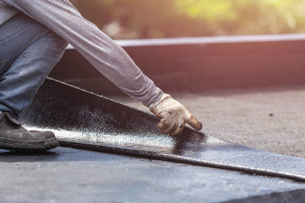 Professional Basement Waterproofing technician working in Dadeville, AL